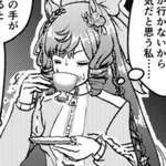 格付けされた一流ウマ娘の皆様貼る