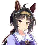 【ウマ娘】派手さは無いけど好きなウマ娘貼る