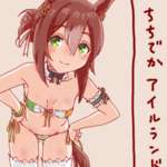 【ウマ娘】ファインの場合お胸ナイジェリアでは（）